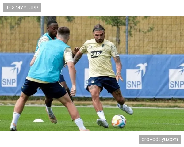 霍芬海姆近期赛程密集防守表现回落，影响球队联赛阶段位置